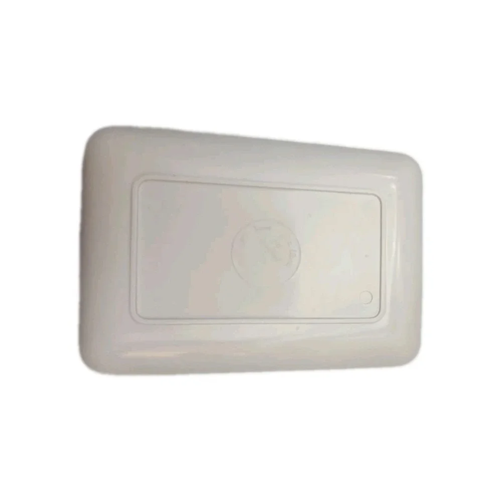 Vtge Souvenir tray From Hotel Regina Elena Santa Margherita Ligure‎ Italy 6×4